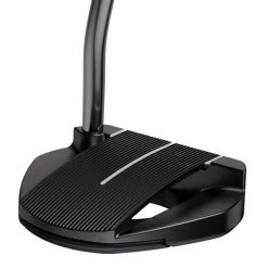 Ping 2021 Fetch Putters