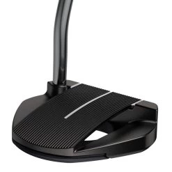 Ping 2021 Fetch Putters