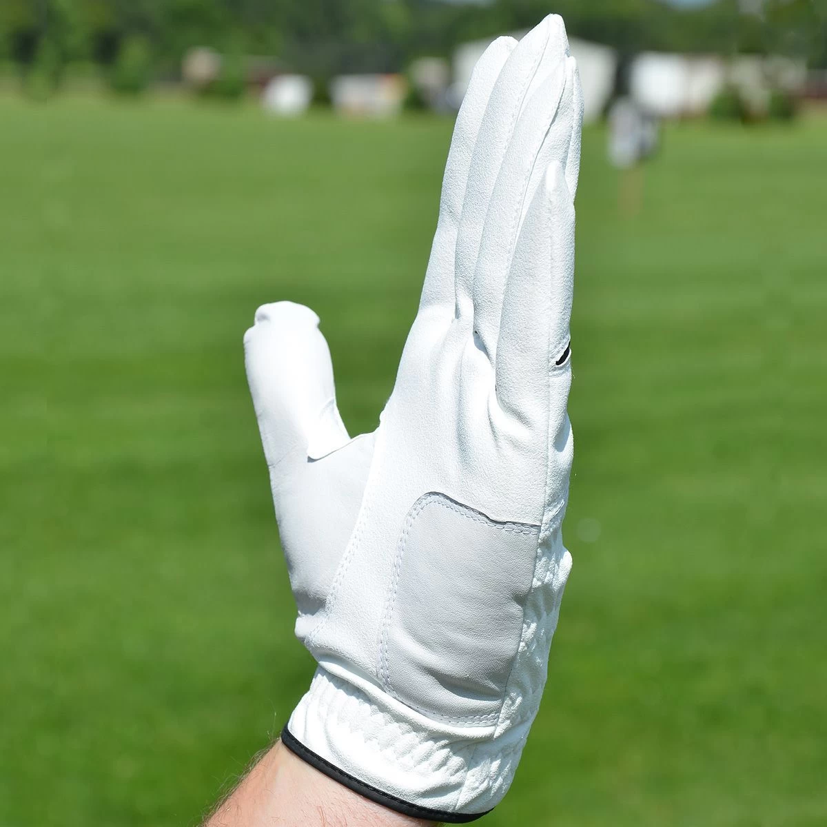Intech Cabretta Men's Golf Gloves - Image 3